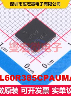 IPL60R385CPAUMA1 VSON-4 场效应管 晶体管 分立器件