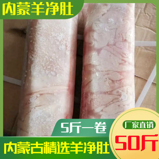 生羊肚内蒙古免洗干净羊净肚绵羊肚清真羊肉羊杂金钱肚整套羊肚子