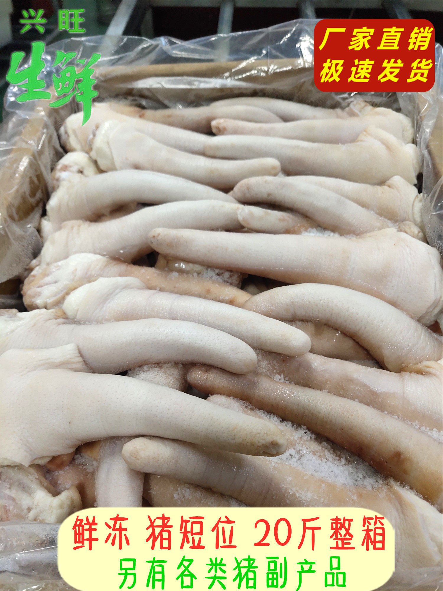 新鲜冷冻猪尾巴 猪短尾 猪中长尾 生猪尾 猪尾 卤菜食堂饭店 20斤