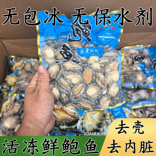 速冻去壳去内脏鲍鱼肉商用