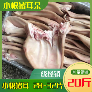 新鲜冷冻生猪耳朵 小根猪耳 带根猪耳 毛重20斤 饭店卤菜食材包邮