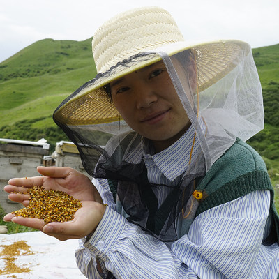 黑蜂天山百花花粉伊犁农家养颜