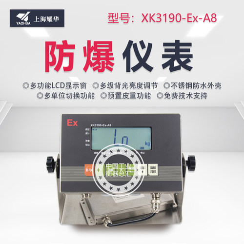 本安型防爆称重化工厂仪表