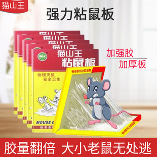 老鼠贴强力粘鼠板超强家用室内厨房高效大号加厚胶引诱抓耗子神器