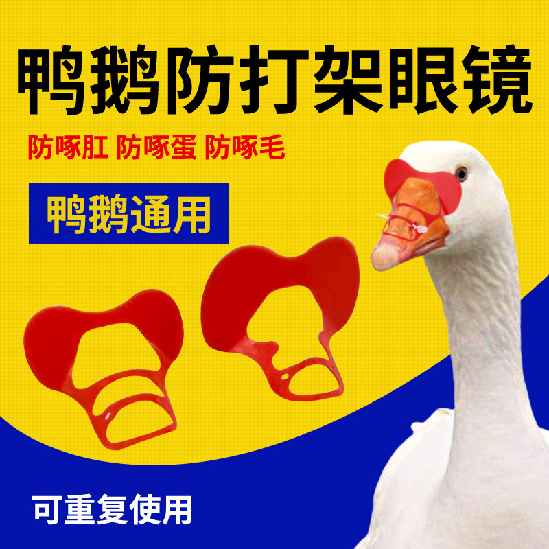 鸭鹅通用型眼镜操作简单方便不易啄伤防打架防啄毛好佩戴,畜牧/养殖物资,养殖用具,淘宝优惠券,粉丝福利购,淘宝优惠卷
