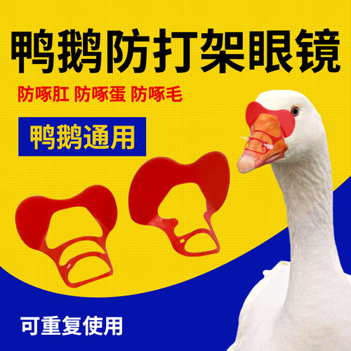 鸭鹅通用型眼镜操作简单方便不易啄伤防打架防啄毛好佩戴