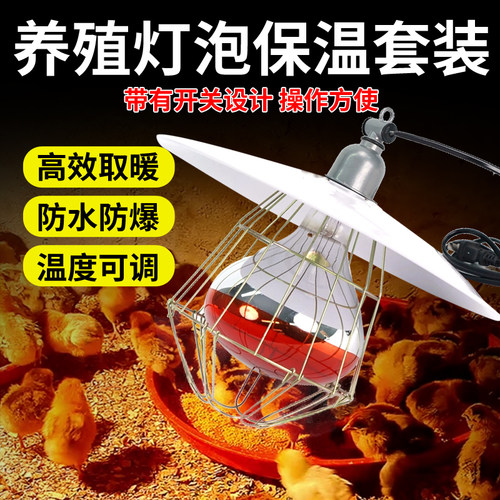 保温灯罩养殖场小鸡育雏仔猪取暖灯金属灯盘网罩陶瓷灯口保温灯套