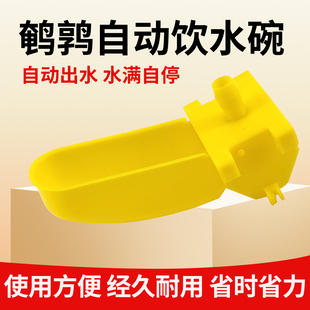 鹌鹑自动饮水碗家禽养殖饮水器宠物喝水碗自动饮水器养殖用品专用