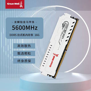 长城DDR5内存条 游戏办公 台式电脑 高频内存 DDR5 16G 5600MHz