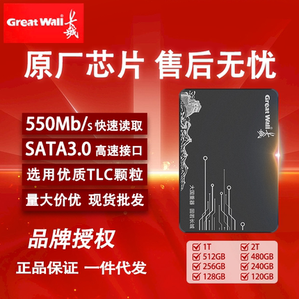 长城greatwall固态硬盘台式机笔记本2.5寸sata256g512g固态硬盘