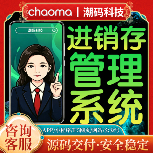 商贸进销存系统开发采购入库销售开单供应商客户台账后台源码交付