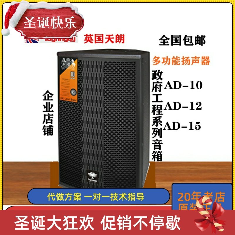 天朗专用系列AD10礼堂会议室歌舞厅宴会厅专业政府工程大功率音箱