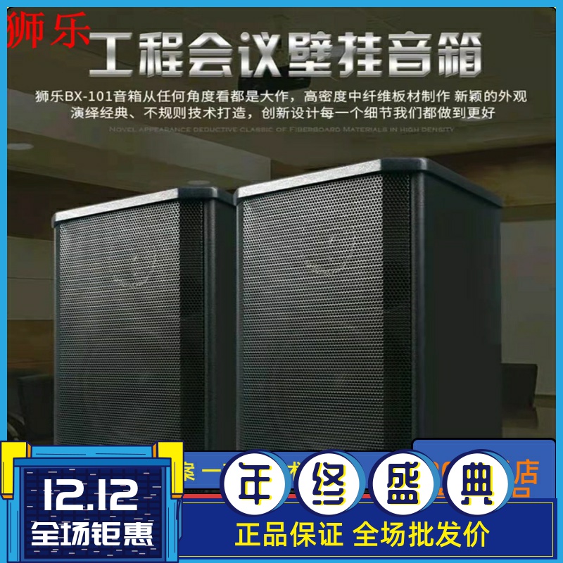 狮乐AV6612B BX101会议室音响组合套装定阻商铺背景音乐壁挂音箱