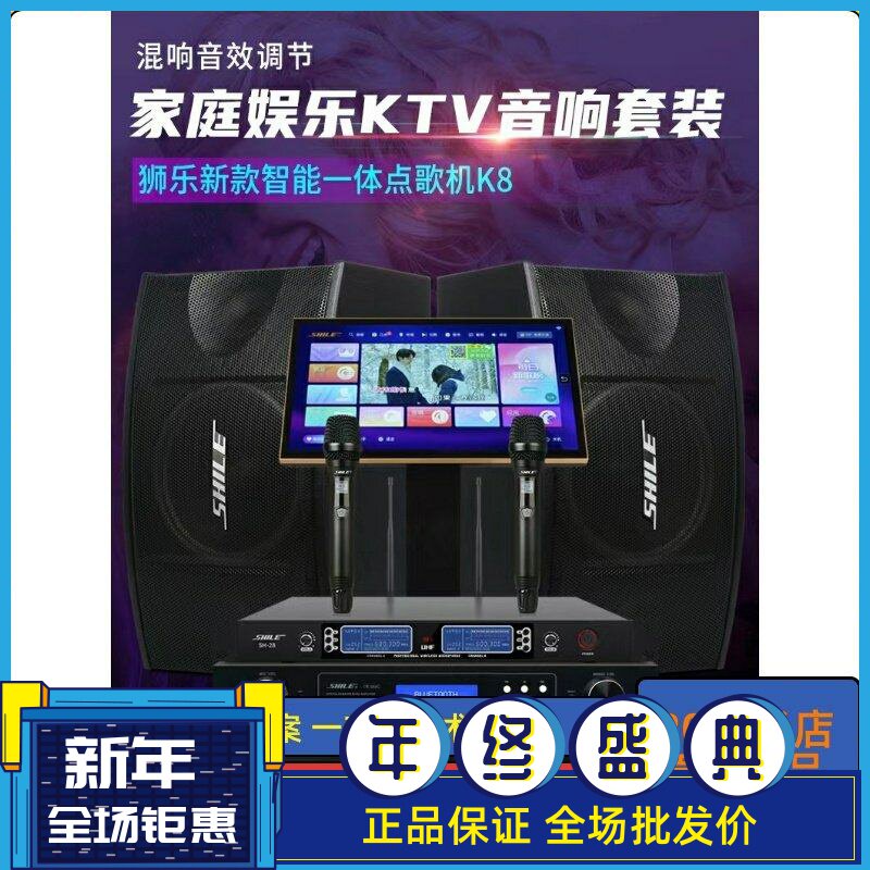 狮乐会议室音响功放套装组合KTV家庭卡拉OK培训课室舞蹈室壁挂音