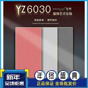 右转YZ6030BT超薄壁画蓝牙音响家用商业背景音乐装饰艺术音箱