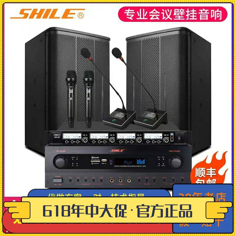 狮乐 BX505-AV1018会议室套系无线话筒壁挂音响校园广播商铺功放