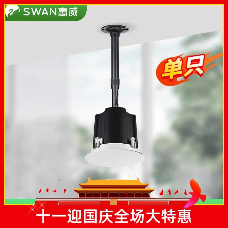 惠威高端明装吸顶喇叭市内免开孔悬挂式店铺背景音乐专用HiFi音响