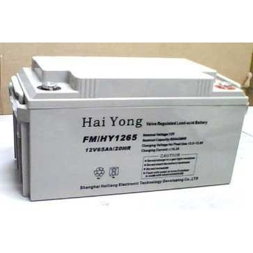 诺华蓄电池6FM-200 12V200AH太阳能 风能光伏发电十年寿命