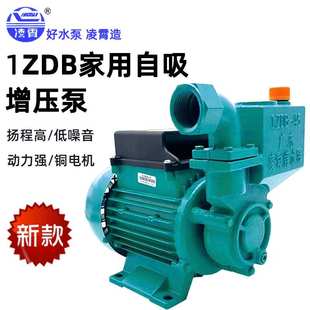 广东凌霄水泵新款 65型自吸清水泵家用自来水增压泵抽水 1ZDB35