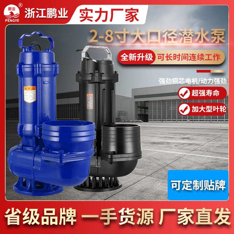 大口径抽水泵农用灌溉2寸-8寸380V污水泵家用220伏扬程30米潜水泵