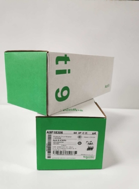 A9F18306 电路保护装置 微型断路器