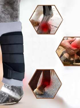 跨境Temu亚马逊黑色马术用品马具护腿马护腿妈腿防护套马护套