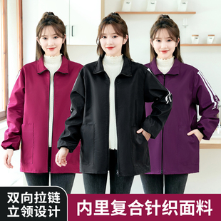 长袖时尚翻领罩衣厨房家用防水女围裙耐脏外套短款工作服2025新款