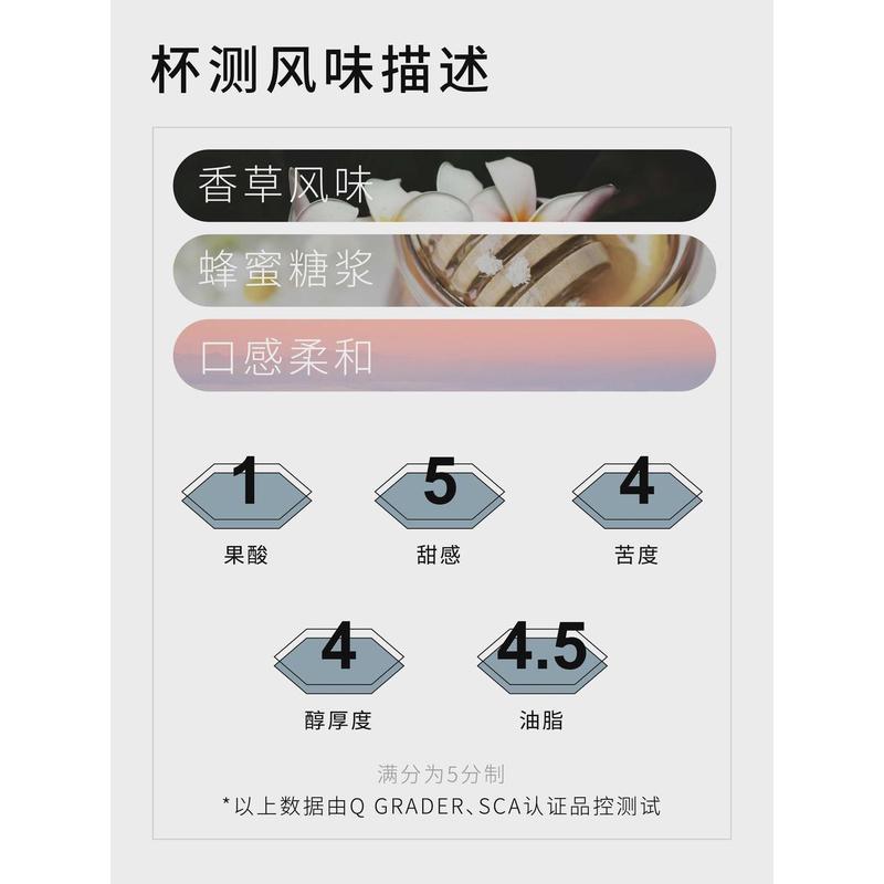 新货Torch炬点221°IIAC金奖咖啡豆美黑咖啡拼配咖啡粉现磨中深烘
