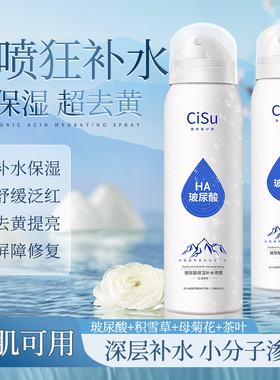 玻尿酸补水喷雾保湿小分子爽肤水妆前湿敷护肤水官方正品学生
