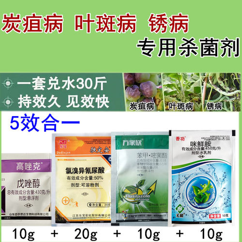 炭疽病锈病专用药大棚蔬菜四季豆
