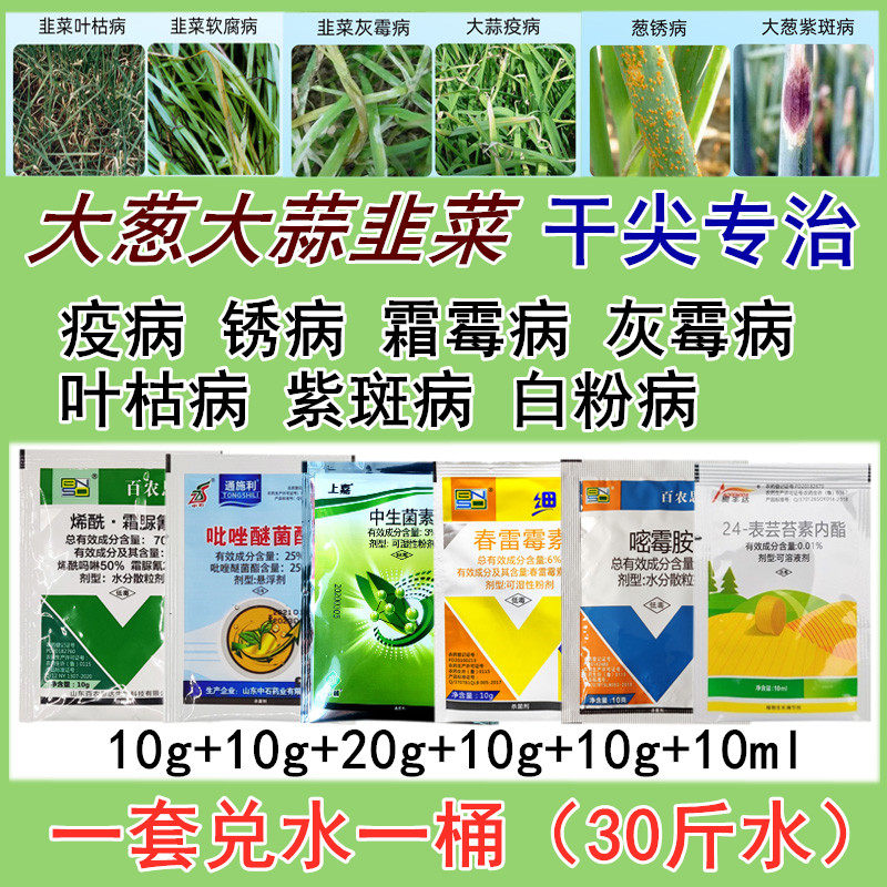 大蒜葱韭菜农药杀菌剂专用药