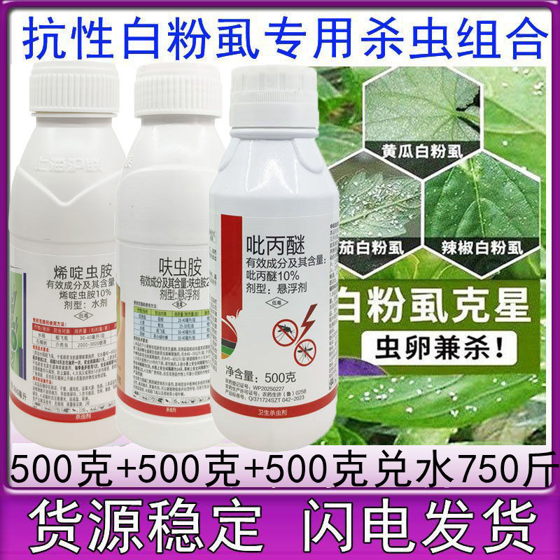 白粉虱专用药烯啶虫胺呋虫胺吡丙醚辣椒茄子白飞虱烟粉虱蚜虫棉蚜