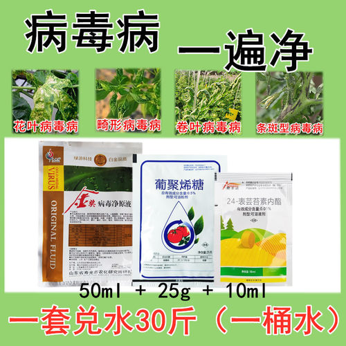 病毒病专用药西红柿辣椒