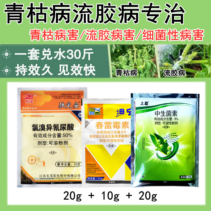 青枯病流胶病专用药细菌性病害