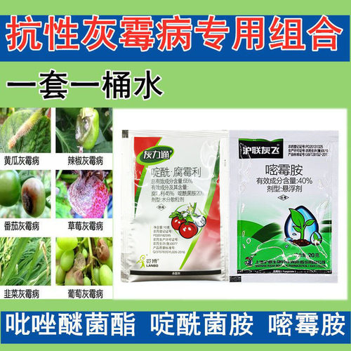蔬菜褐斑病蔬菜褐斑病农药杀菌剂
