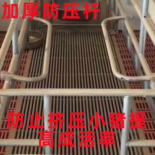 一寸加厚小猪新款防压杠