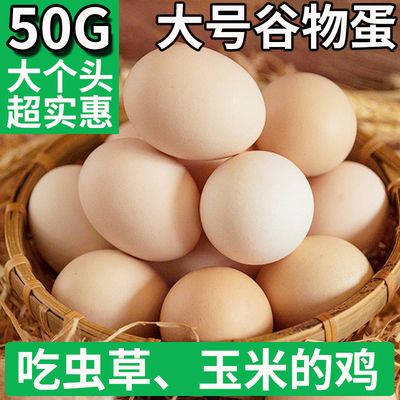 50g大个新鲜谷物农村鸡蛋