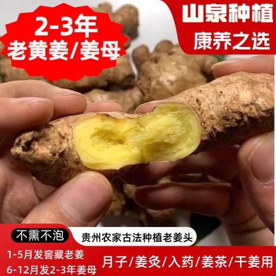 贵州农家2到3年老姜/母姜头（月子/姜灸/姜茶/百日姜/干姜/特用）