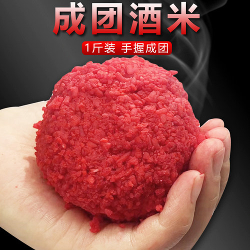 手握成团酒米窝料冬季野钓鲫鲤鱼