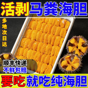 新鲜海胆鲜活速冻纯海胆肉冷冻海胆羹大连马粪海胆肉水饺食材海鲜