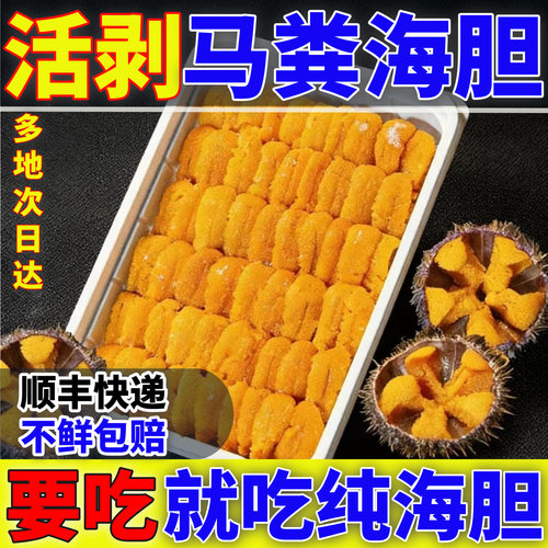 新鲜海胆鲜活速冻纯海胆肉冷冻海胆羹大连马粪海胆肉水饺食材海鲜