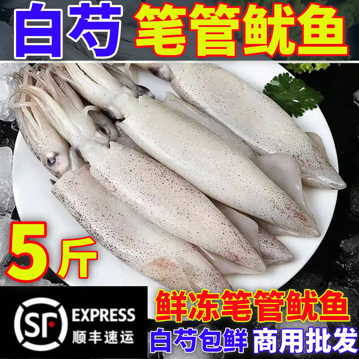 新鲜冷冻白灼小管鱿鱼大笔管鱼图片