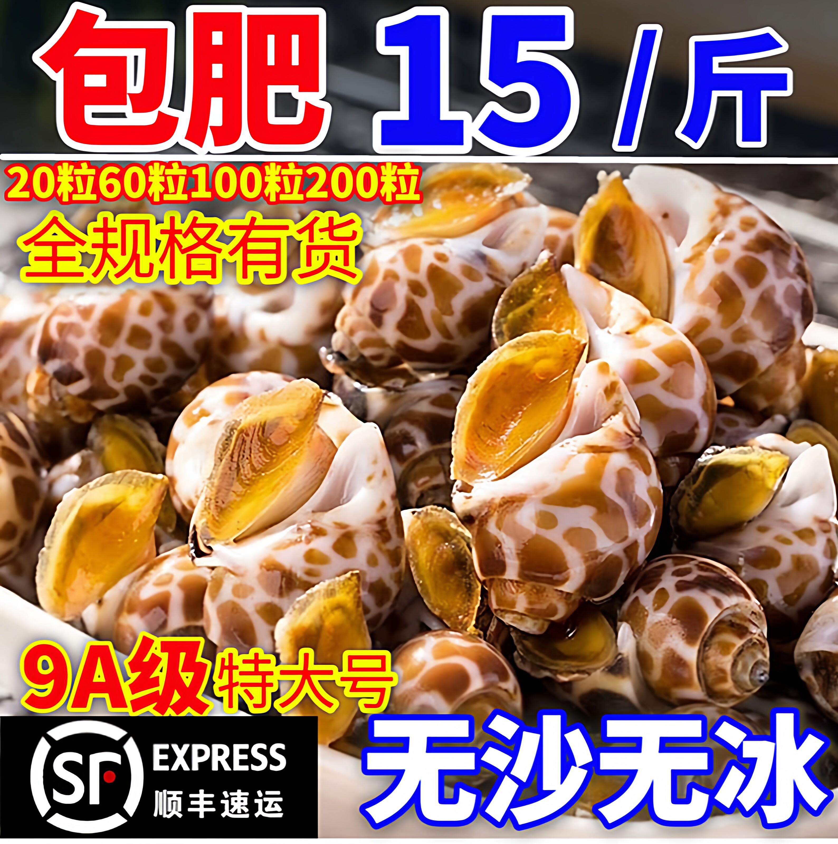 花螺鲜活冷冻特大超大东风螺新鲜小海螺香螺田螺贝类海鲜包肥无沙
