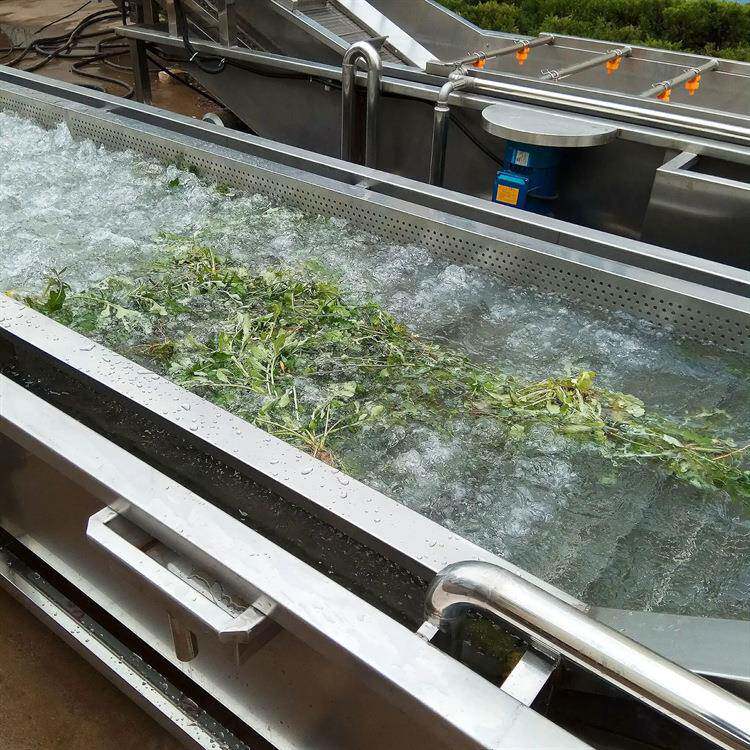 菜花喷淋清洗机出售果蔬清洗加工设备除泥去虫卵蔬菜清洗器