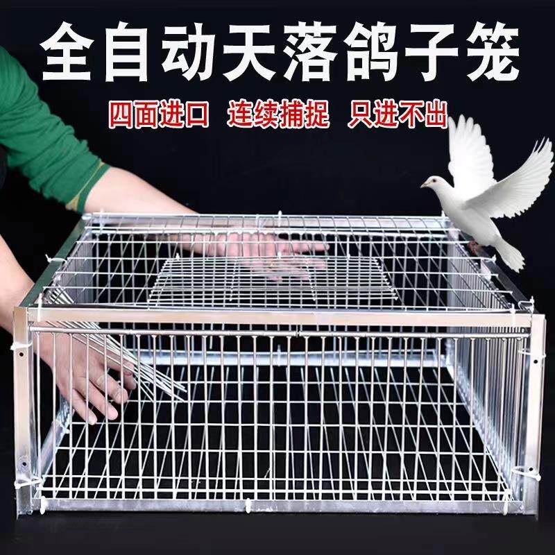 鸟捕捉神器只进不出大型防逃天落笼加厚加密撞门全自动抓收收鸽子