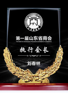 玻璃水晶奖杯麦穗水晶三等功牌匾奖牌授权牌年商会奖杯定创意年会