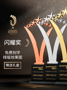 五角星金属奖杯定制高档水晶奖杯金银铜团体奖品冠军大号制作年会