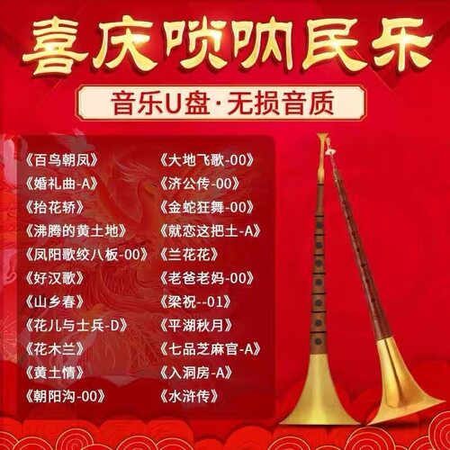 喜庆唢呐独奏音乐U盘民乐经典名曲百鸟朝凤伴奏纯音乐汽车载优盘