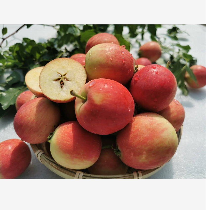 包邮东北沙果k9新鲜现摘酸甜黄太平鸡心果伏果海棠果4斤