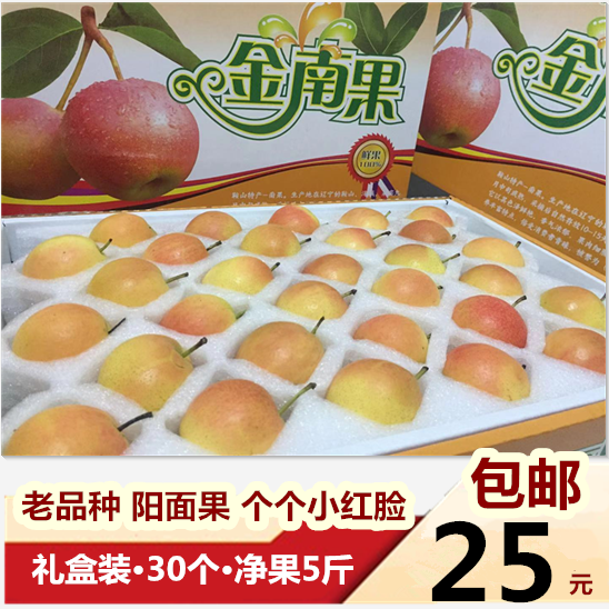 鞍山南果梨包邮精品酒香辽宁特产